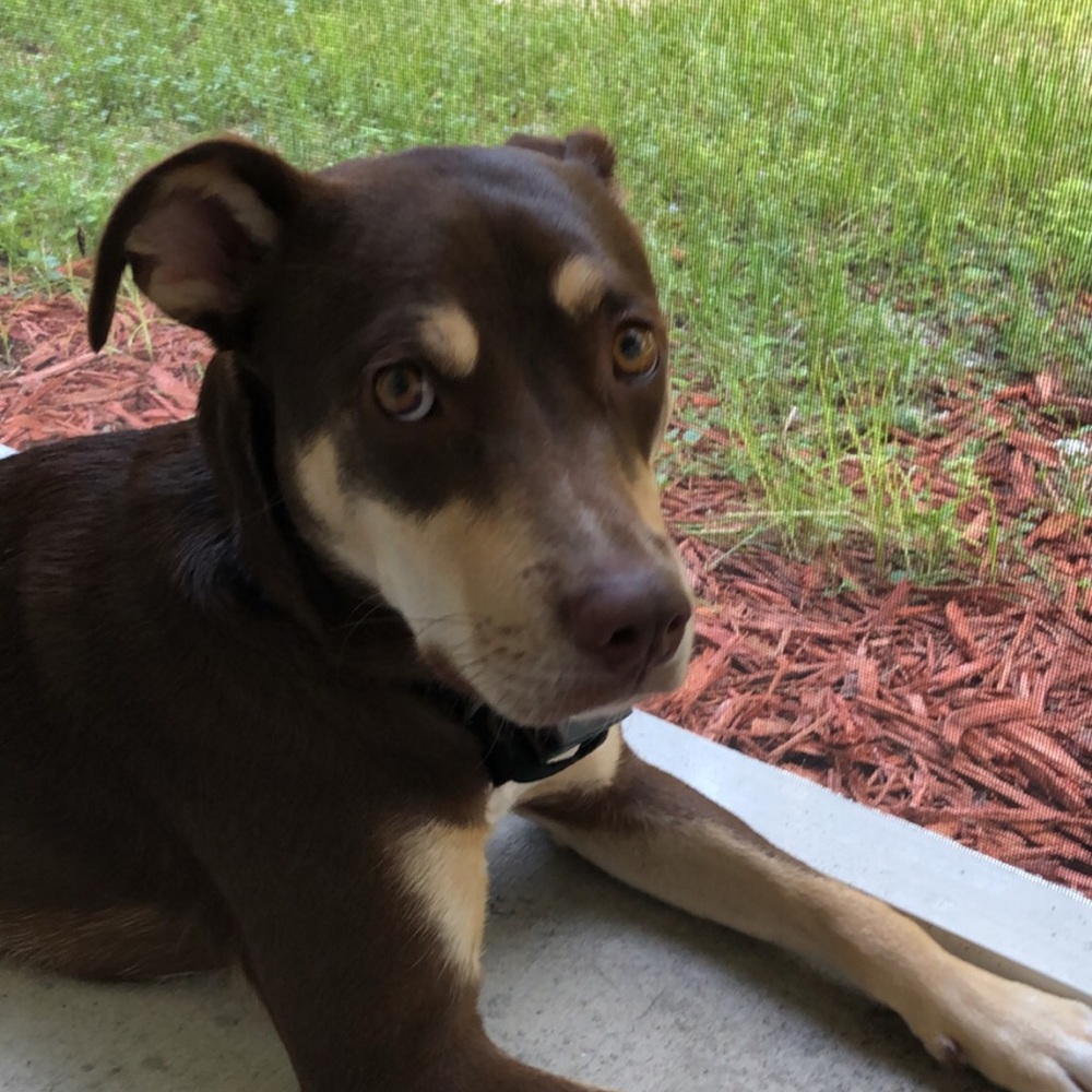 Meet your Posher, Bonnie